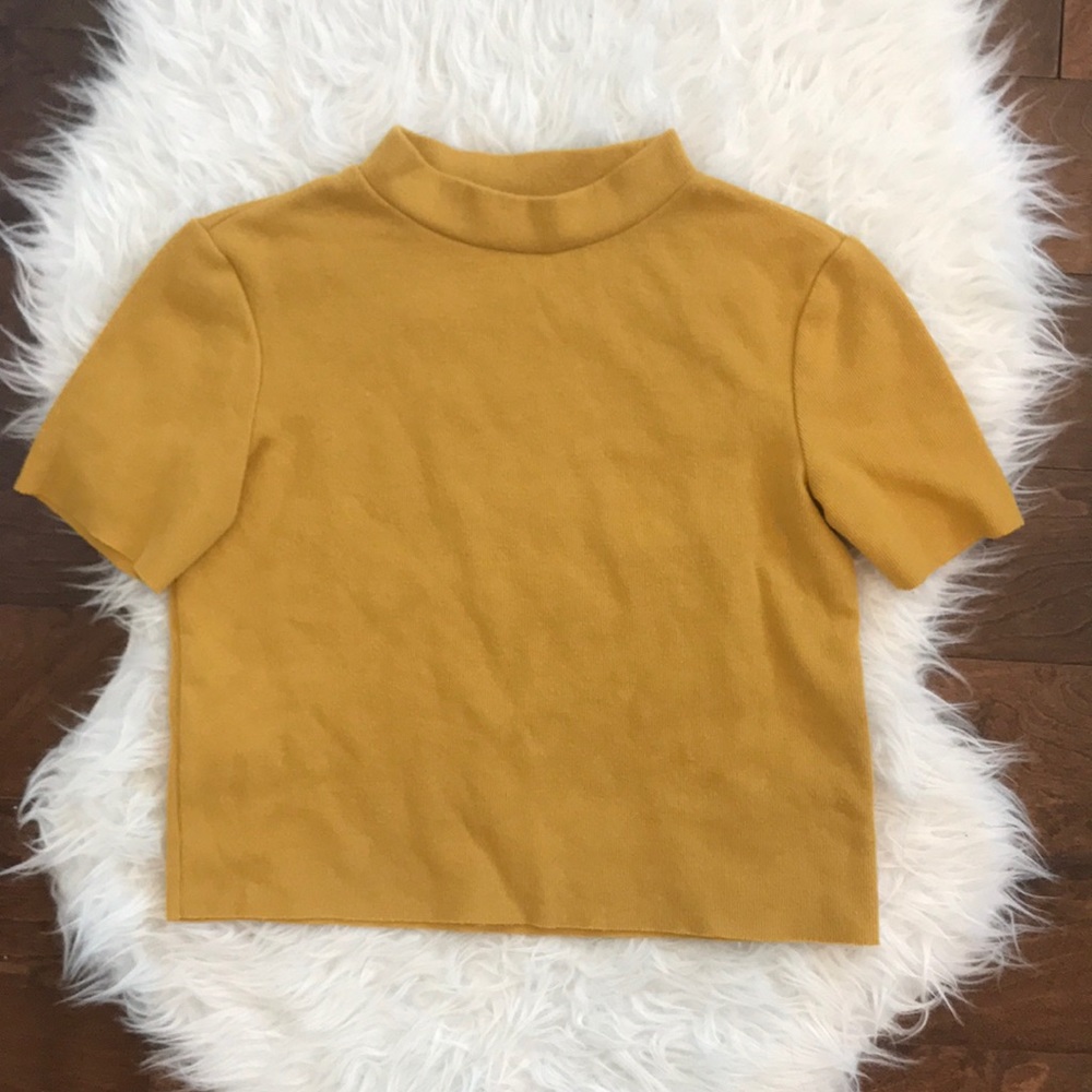 zara trafaluc autumn-winter 17-18 mockneck